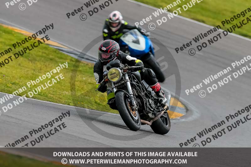 PJ Motorsport 2019;anglesey no limits trackday;anglesey photographs;anglesey trackday photographs;enduro digital images;event digital images;eventdigitalimages;no limits trackdays;peter wileman photography;racing digital images;trac mon;trackday digital images;trackday photos;ty croes